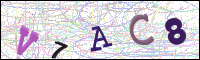 Bestätigung